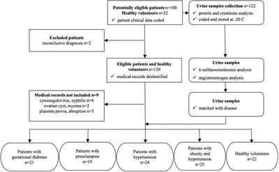 Urinary Angiotensinogen-Melatonin Ratio in Gestational Diabetes and Preeclampsia